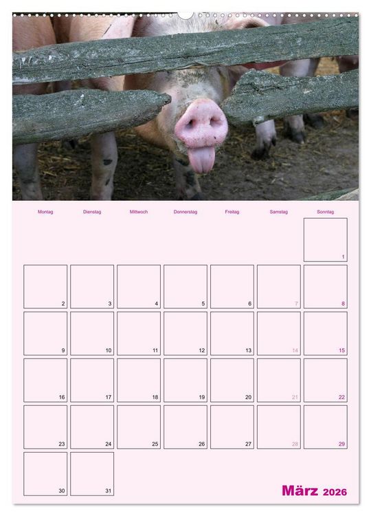 Produktbild: Schweinischer Terminplaner (Wandkalender 2026 DIN A2 hoch), CALVENDO Monatskalender