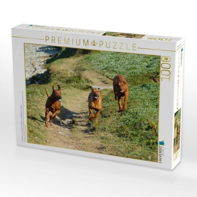 Produktbild: CALVENDO Puzzle Ein Motiv aus dem Kalender Rhodesian Ridgebacks in Aktion | 1000 Teile Lege-Gr&ouml;&szlig;e 64x48cm Foto-Puzzle f&uuml;r gl&uuml;ckliche Stunden