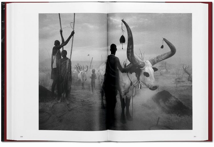 Produktbild: Sebasti&atilde;o Salgado. G&eacute;nesis