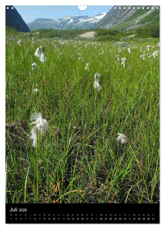Produktbild: Paradiesisches Norwegen (Wandkalender 2026 DIN A3 hoch), CALVENDO Monatskalender