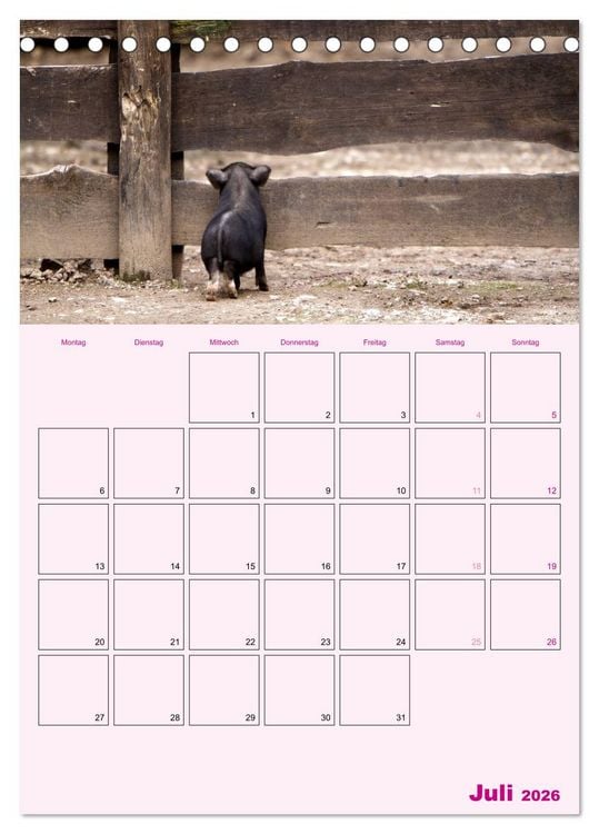 Produktbild: Schweinischer Terminplaner (Tischkalender 2026 DIN A5 hoch), CALVENDO Monatskalender