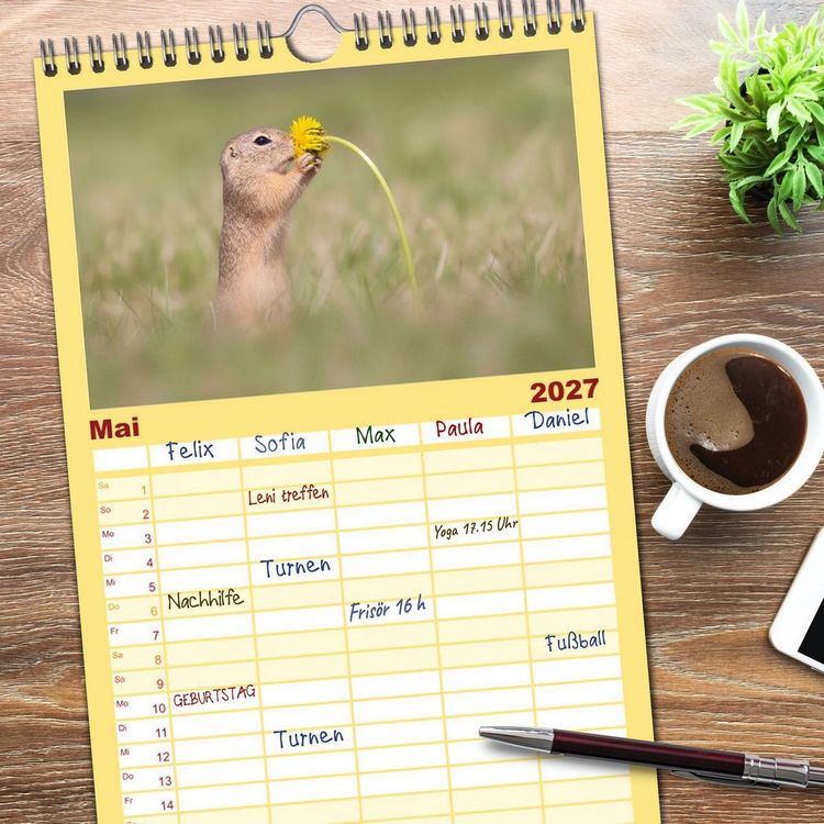 Produktbild: Familienplaner 2027 - Zauberhafte Ziesel mit 5 Spalten (Wandkalender, 21 x 45 cm) CALVENDO
