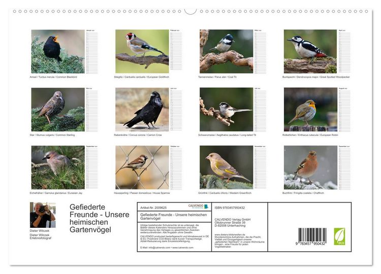 Produktbild: Gefiederte Freunde - Unsere heimischen Gartenv&ouml;gel (hochwertiger Premium Wandkalender 2026 DIN A2 quer), Kunstdruck in Hochglanz