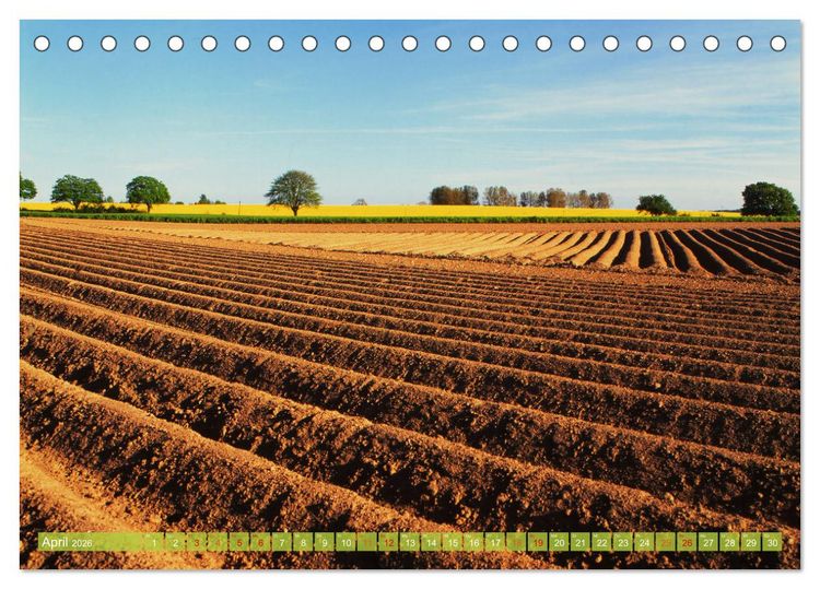 Produktbild: Landwirtschaft Natur pur Mecklenburg-Vorpommern (Tischkalender 2026 DIN A5 quer), CALVENDO Monatskalender