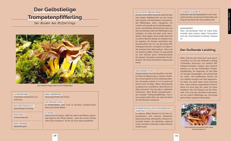 Produktbild: Pilzvergn&uuml;gt