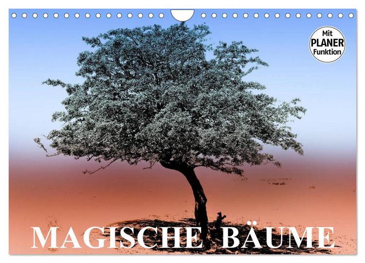 Produktbild: Magische B&auml;ume (Wandkalender 2026 DIN A4 quer), CALVENDO Monatskalender