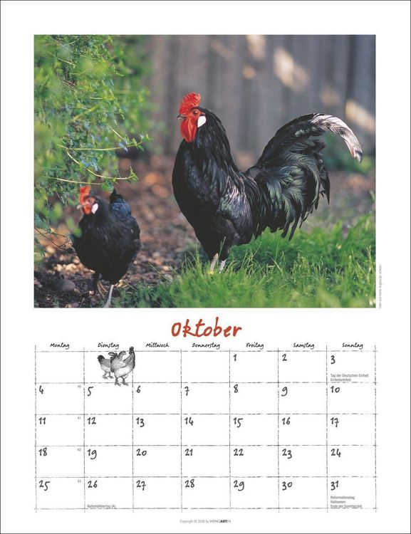 Produktbild: Der H&uuml;hnerkalender 2027