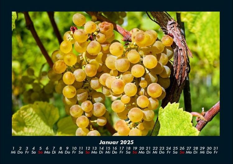 Produktbild: Obstkalender 2025 Fotokalender DIN A4