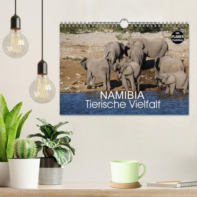 Produktbild: Namibia - Tierische Vielfalt (Planer) (Wandkalender 2026 DIN A4 quer), CALVENDO Monatskalender