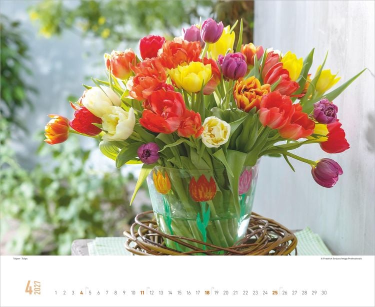 Produktbild: Blumenpracht 2027