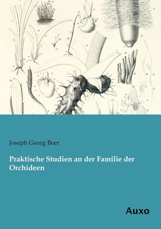 Produktbild: Praktische Studien an der Familie der Orchideen