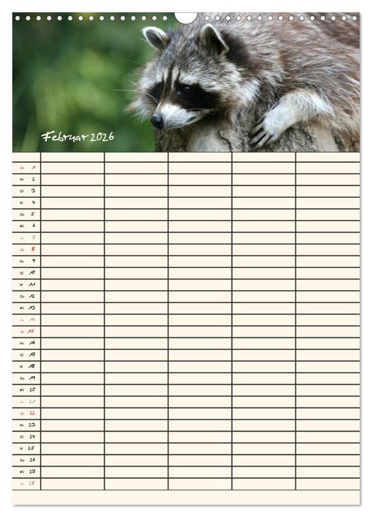 Produktbild: Waschb&auml;ren Familienplaner (Wandkalender 2026 DIN A3 hoch), CALVENDO Monatskalender