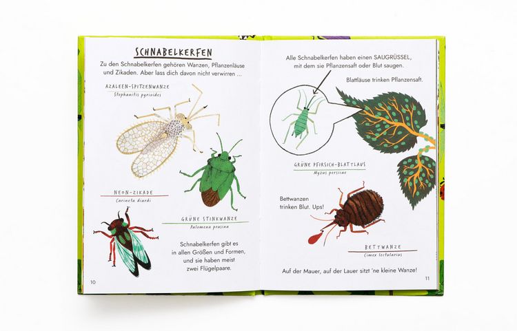 Produktbild: Hallo Insekten