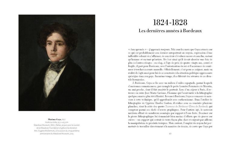 Produktbild: Francisco de Goya
