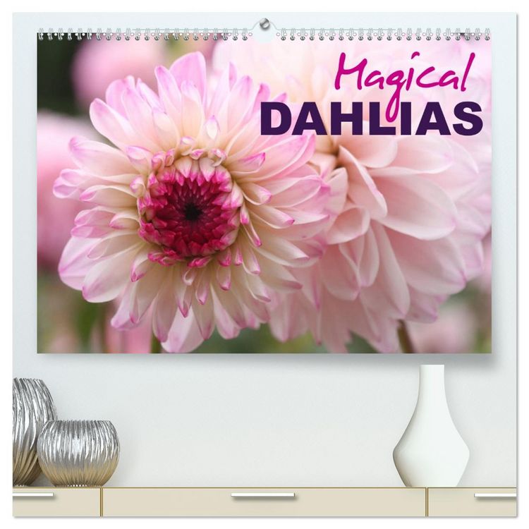 Produktbild: Magical Dahlias (High Quality Premium Wall Calendar 2026 DIN A2 landscape),CALVENDO 12 Month Wall Calendar