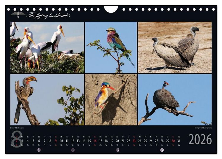 Produktbild: Botswana Blickwinkel 2026 (Wandkalender 2026 DIN A4 quer), CALVENDO Monatskalender