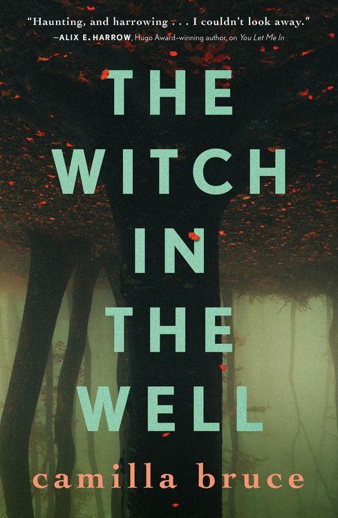 Produktbild: The Witch In The Well