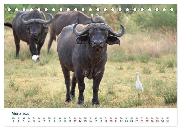 Produktbild: Fernweh Uganda - Natursch&ouml;nheit Ostafrikas (Tischkalender 2027 DIN A5 quer), CALVENDO Monatskalender