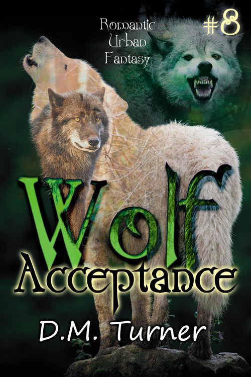 Produktbild: Acceptance