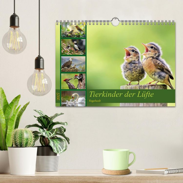 Produktbild: Tierkinder der L&uuml;fte - Vogelwelt (Wandkalender 2027 DIN A4 quer), CALVENDO Monatskalender