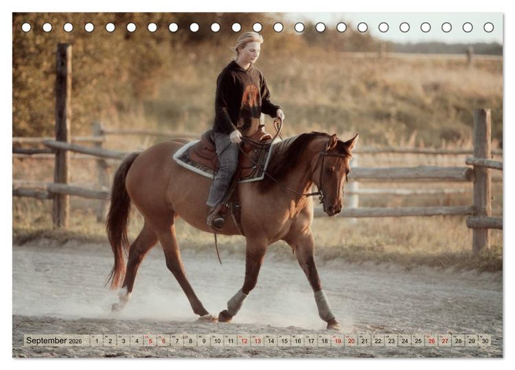 Produktbild: Quarter Horses - Die gr&ouml;&szlig;te Zuchtbuchrasse der Welt (Tischkalender 2026 DIN A5 quer), CALVENDO Monatskalender