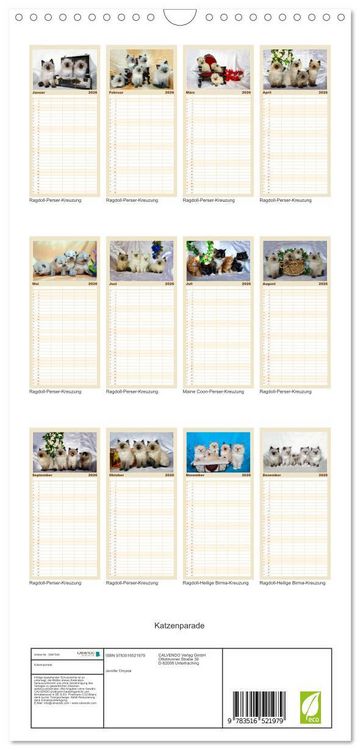 Produktbild: Familienplaner 2026 - Katzenparade mit 5 Spalten (Wandkalender, 21 x 45 cm) CALVENDO