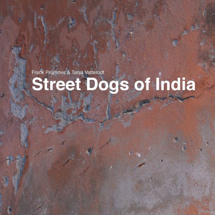 Produktbild: Street Dogs of India