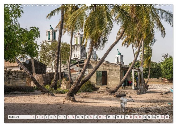 Produktbild: Westafrika - The Gambia (hochwertiger Premium Wandkalender 2026 DIN A2 quer), Kunstdruck in Hochglanz