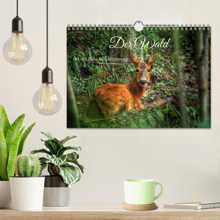 Produktbild: Der Wald - Ort der Ruhe und Besinnung (Wandkalender 2026 DIN A4 quer), CALVENDO Monatskalender