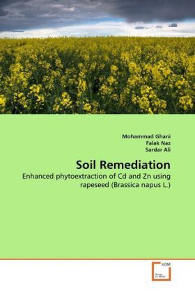 Produktbild: Ghani, M: Soil Remediation
