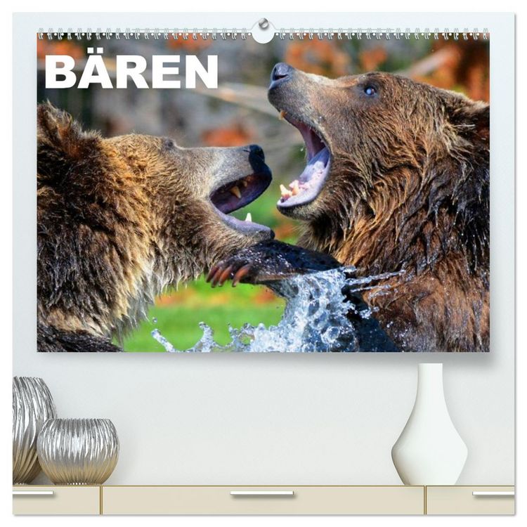 Produktbild: B&auml;ren (hochwertiger Premium Wandkalender 2026 DIN A2 quer), Kunstdruck in Hochglanz