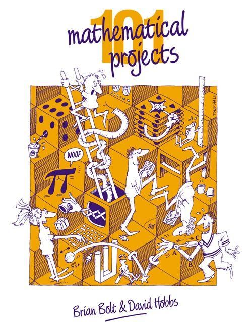 Produktbild: 101 Mathematical Projects