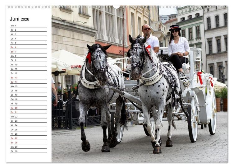 Produktbild: Besucht doch mal Krakau (hochwertiger Premium Wandkalender 2026 DIN A2 quer), Kunstdruck in Hochglanz