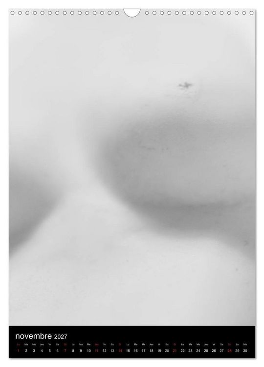 Produktbild: F&eacute;minit&eacute; (Calendrier mural 2027 DIN A3 horizontal), CALVENDO calendrier mensuel