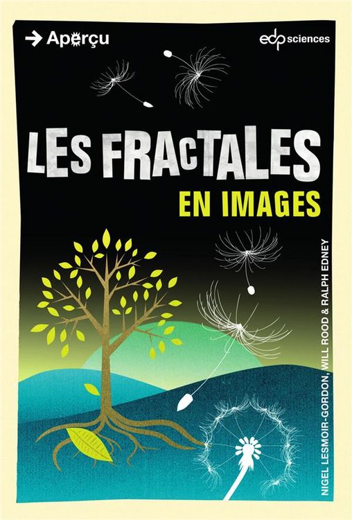 Produktbild: Les fractales en images