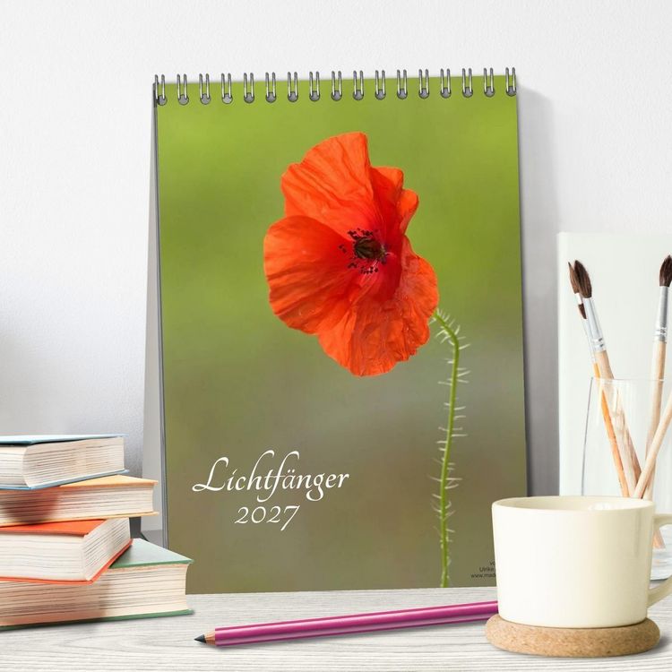 Produktbild: Lichtf&auml;nger (Tischkalender 2027 DIN A5 hoch), CALVENDO Monatskalender