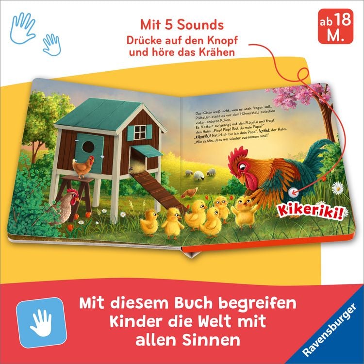 Produktbild: H&ouml;r mal hin - Piep! Piep! Bist du mein Papa?