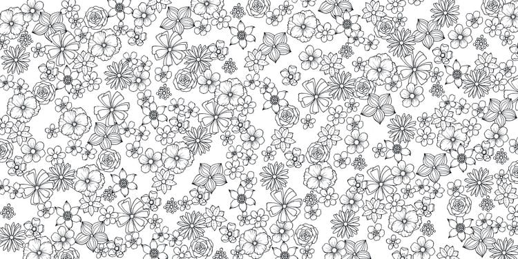 Produktbild: Bl&uuml;tentraum &ndash; Florale Motive ausmalen