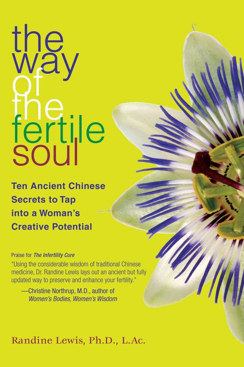 Produktbild: The Way of the Fertile Soul
