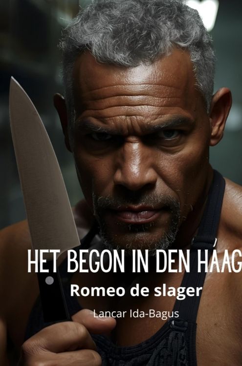 Produktbild: Het begon in Den Haag