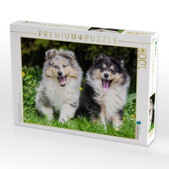 Produktbild: CALVENDO Puzzle Zwei, die hinaus wollen in die Welt | 1000 Teile Lege-Gr&ouml;&szlig;e 64x48cm Foto-Puzzle f&uuml;r gl&uuml;ckliche Stunden