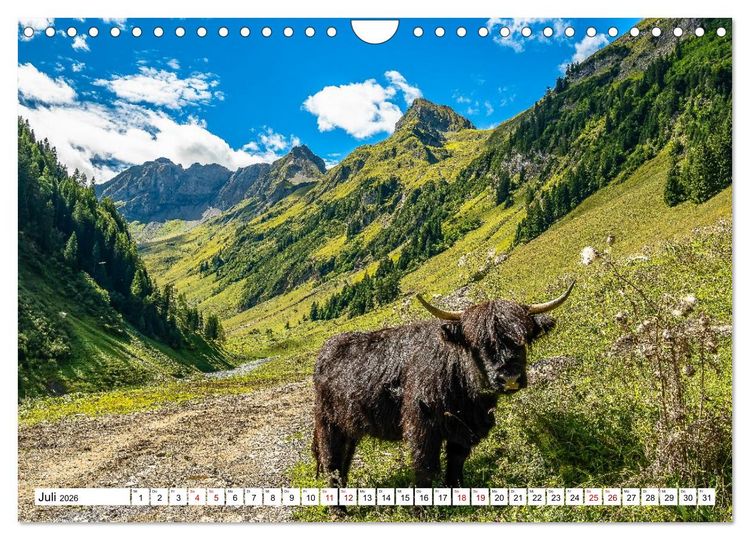 Produktbild: Kuhle Typen (Wandkalender 2026 DIN A4 quer), CALVENDO Monatskalender