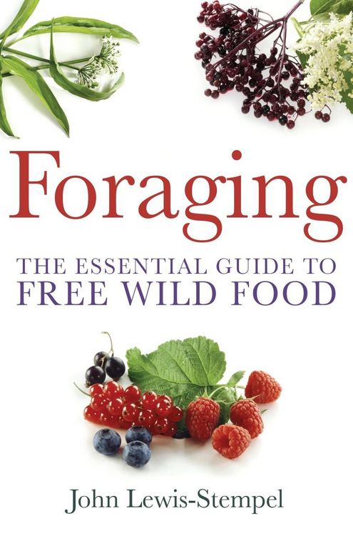 Produktbild: Foraging