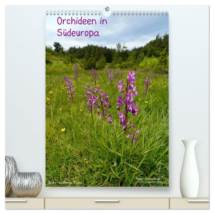 Produktbild: Orchideen in S&uuml;deuropa (hochwertiger Premium Wandkalender 2026 DIN A2 hoch), Kunstdruck in Hochglanz