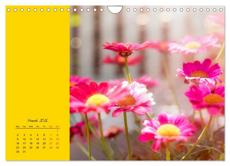 Produktbild: Vibrancy of flowers (Wall Calendar 2026 DIN A4 landscape), CALVENDO 12 Month Wall Calendar
