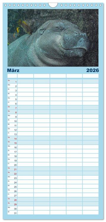 Produktbild: Familienplaner 2026 - Nilpferde, Kolosse in Afrika mit 5 Spalten (Wandkalender, 21 x 45 cm) CALVENDO