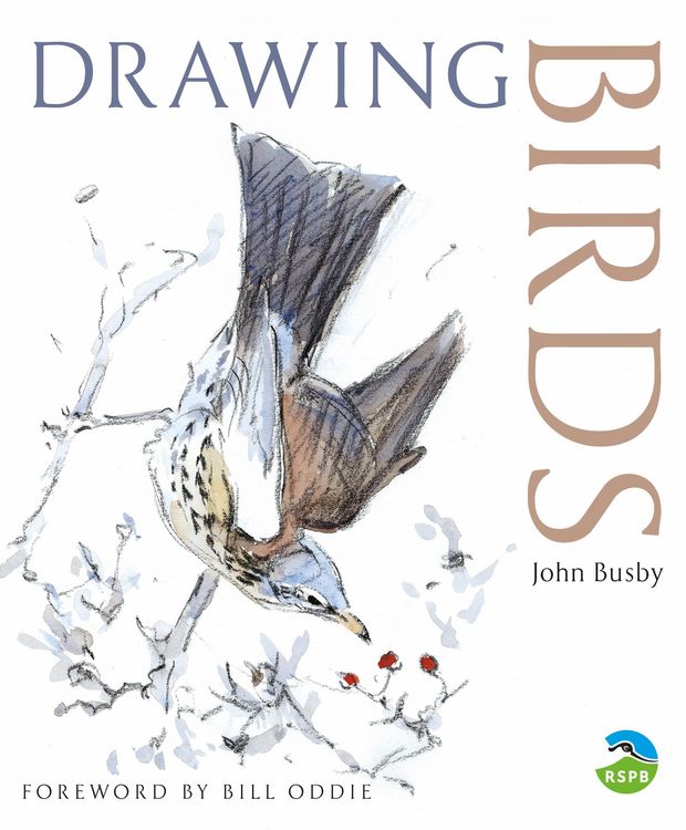 Produktbild: Drawing Birds