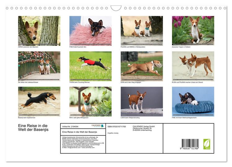 Produktbild: Eine Reise in die Welt der Basenjis (Wandkalender 2026 DIN A3 quer), CALVENDO Monatskalender