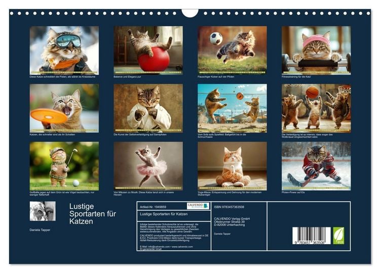 Produktbild: Lustige Sportarten f&uuml;r Katzen (Wandkalender 2026 DIN A3 quer), CALVENDO Monatskalender