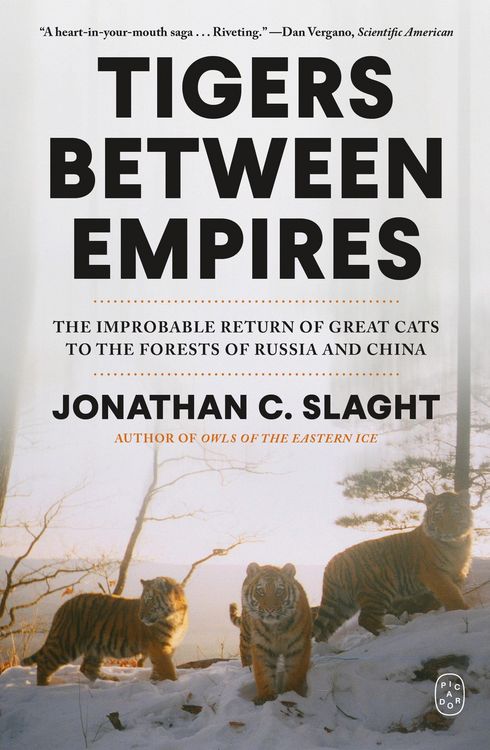 Produktbild: Tigers Between Empires